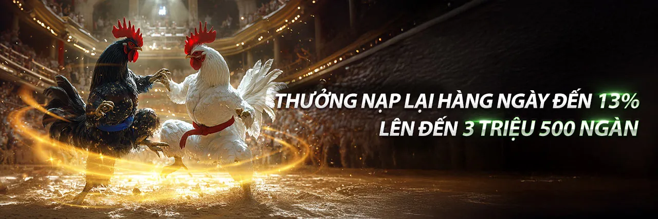 Đá gà trực tiếp tại rr99 game